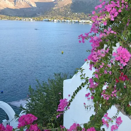 Ilidi Rock Aparts-suites-studios 3* Livadia (Tilos)