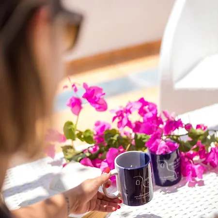 Aparthotel Ilidi Rock Aparts-suites-studios Livadia (Tilos)