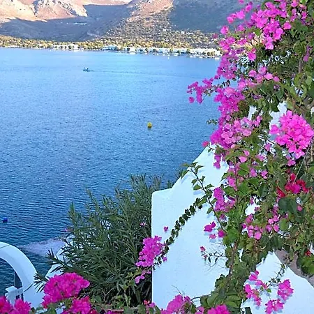 Ilidi Rock Aparts-suites-studios Livadia (Tilos)